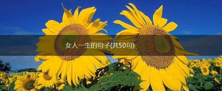 女人一生的句子(共50句),第1张