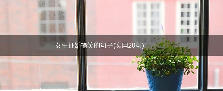 女生征婚搞笑的句子(实用20句),第1张
