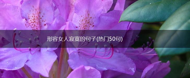 形容女人寂寞的句子(热门50句),第1张