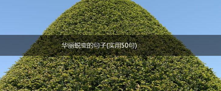 华丽蜕变的句子(实用50句),第1张