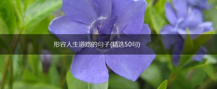 形容人生道路的句子(精选50句),第1张