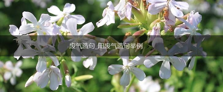 废气造句_用废气造句举例,第1张