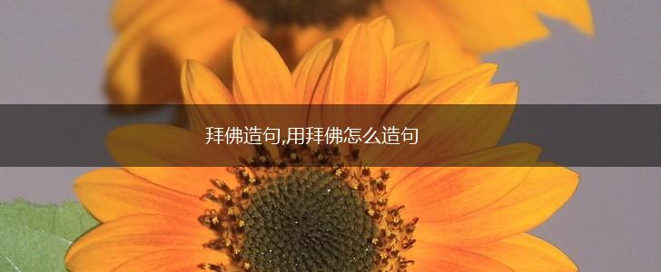 拜佛造句,用拜佛怎么造句,第1张