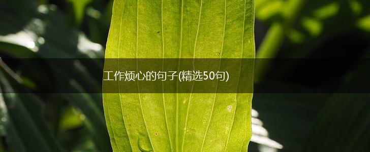 工作烦心的句子(精选50句),第1张