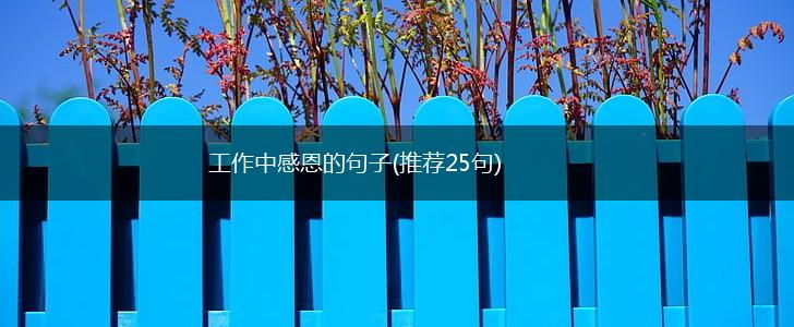 工作中感恩的句子(推荐25句),第1张