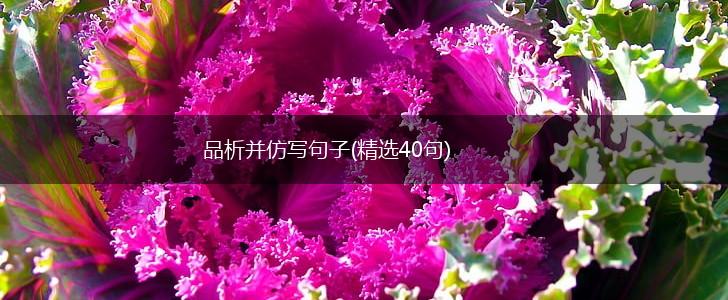 品析并仿写句子(精选40句),第1张