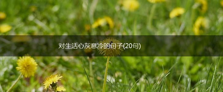 对生活心灰意冷的句子(20句),第1张