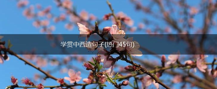 学贯中西造句子(热门45句),第1张