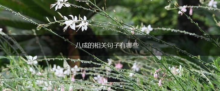 八成的相关句子有哪些,第1张