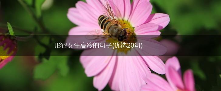 形容女生高冷的句子(优选20句),第1张