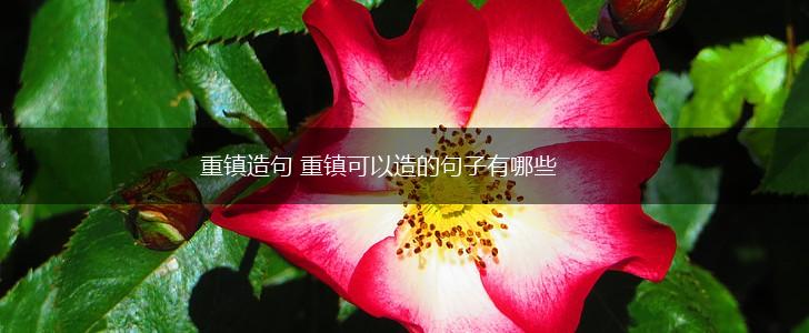 重镇造句 重镇可以造的句子有哪些,第1张