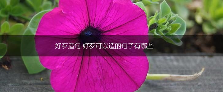 好歹造句 好歹可以造的句子有哪些,第1张