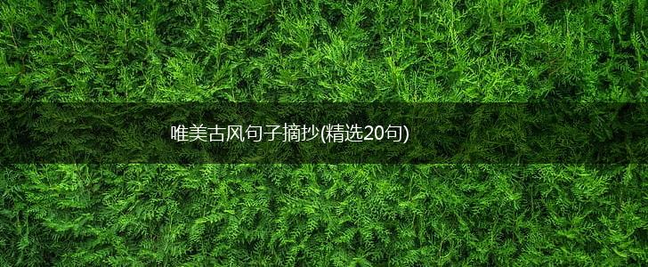 唯美古风句子摘抄(精选20句),第1张