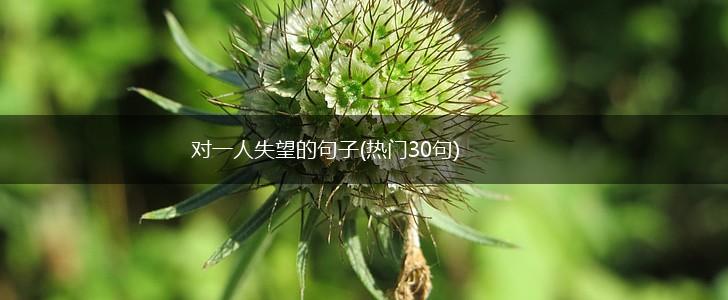 对一人失望的句子(热门30句),第1张