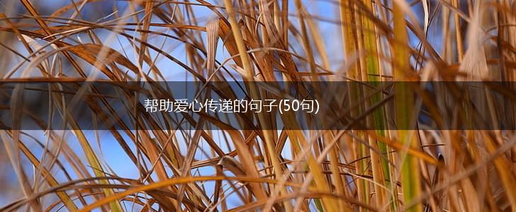帮助爱心传递的句子(50句),第1张