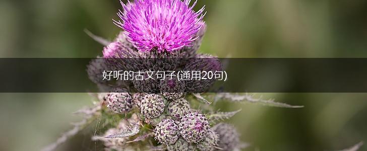 好听的古文句子(通用20句),第1张