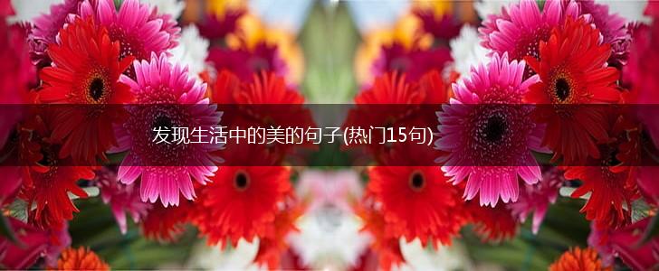 发现生活中的美的句子(热门15句),第1张