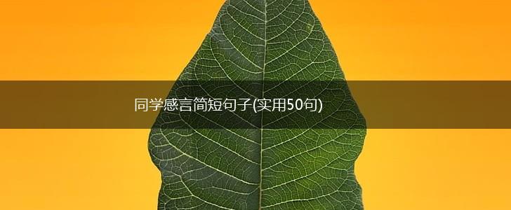 同学感言简短句子(实用50句),第1张