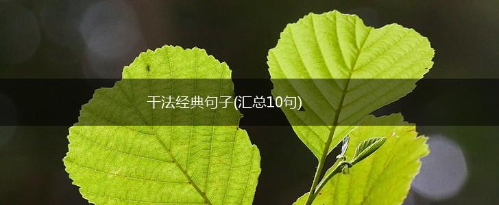 干法经典句子(汇总10句),第1张