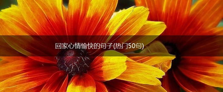 回家心情愉快的句子(热门50句),第1张