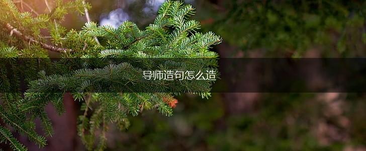 导师造句怎么造,第1张