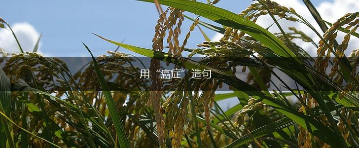 用“癌症”造句,第1张