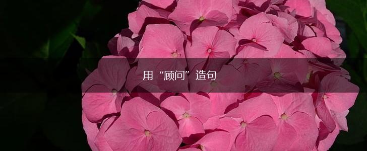 用“顾问”造句,第1张