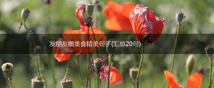 发朋友圈美食精美句子(汇总20句),第1张