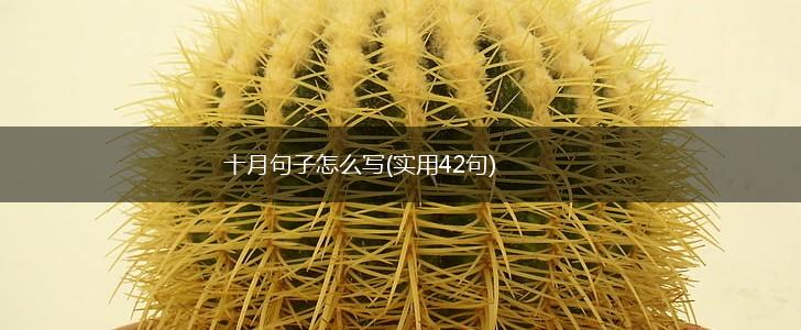 十月句子怎么写(实用42句),第1张