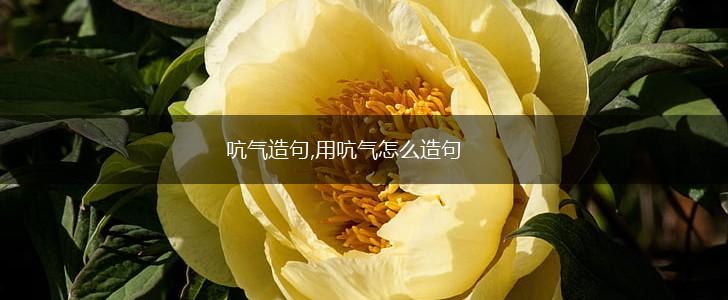 吭气造句,用吭气怎么造句,第1张