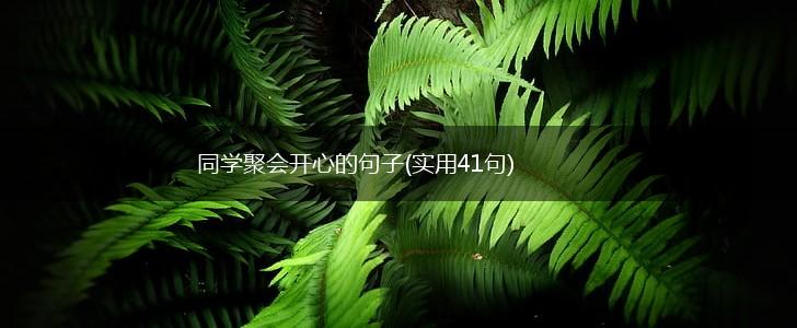 同学聚会开心的句子(实用41句),第1张