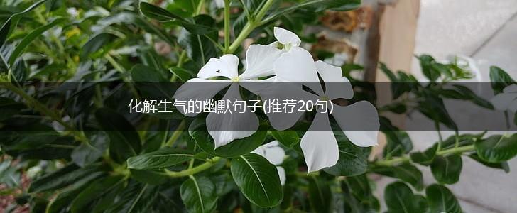 化解生气的幽默句子(推荐20句),第1张