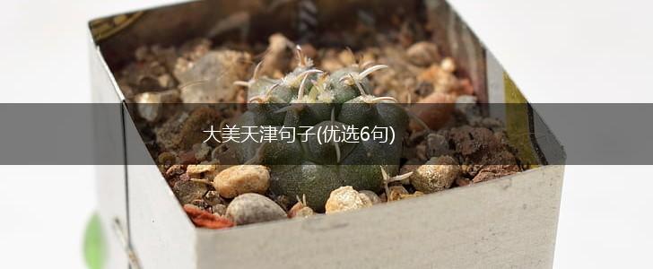 大美天津句子(优选6句),第1张