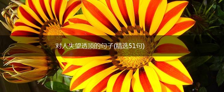 对人失望透顶的句子(精选51句),第1张