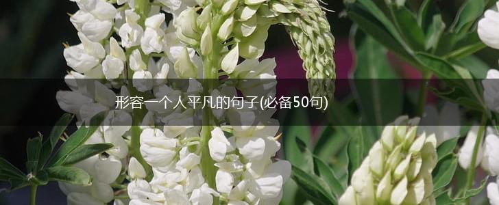 形容一个人平凡的句子(必备50句),第1张