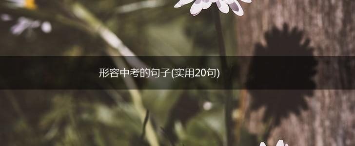 形容中考的句子(实用20句),第1张