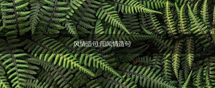 风情造句,用风情造句,第1张