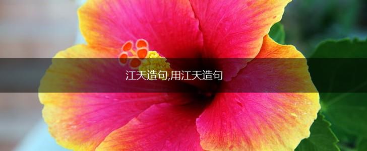 江天造句,用江天造句,第1张