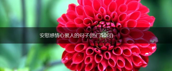 安慰感情心累人的句子(热门50句),第1张