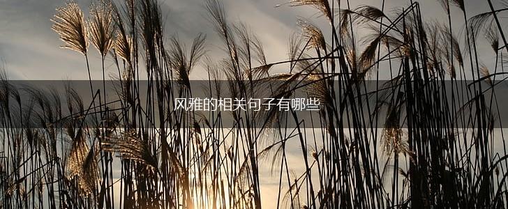 风雅的相关句子有哪些,第1张