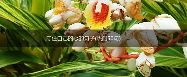 守住自己的心的句子(热门50句),第1张