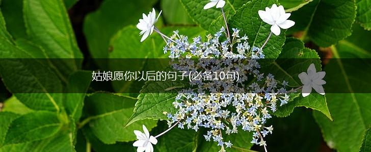 姑娘愿你以后的句子(必备10句),第1张