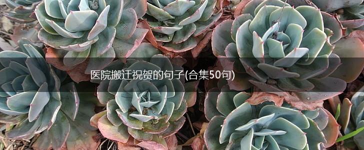 医院搬迁祝贺的句子(合集50句),第1张