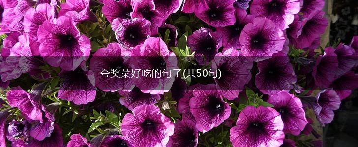 夸奖菜好吃的句子(共50句),第1张