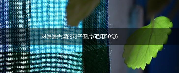对婆婆失望的句子图片(通用50句),第1张