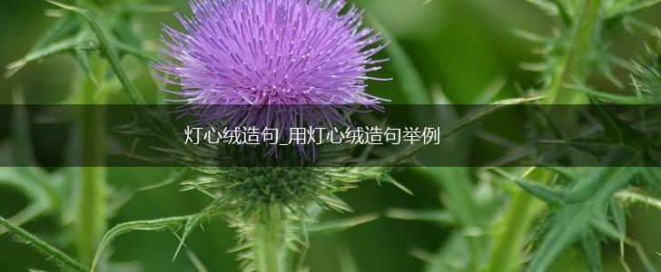 灯心绒造句_用灯心绒造句举例,第1张