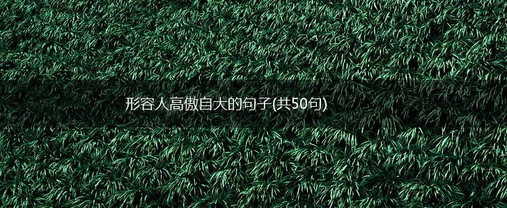 形容人高傲自大的句子(共50句),第1张