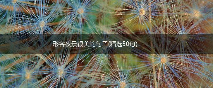 形容夜景很美的句子(精选50句),第1张