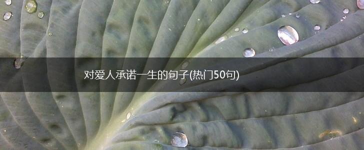 对爱人承诺一生的句子(热门50句),第1张