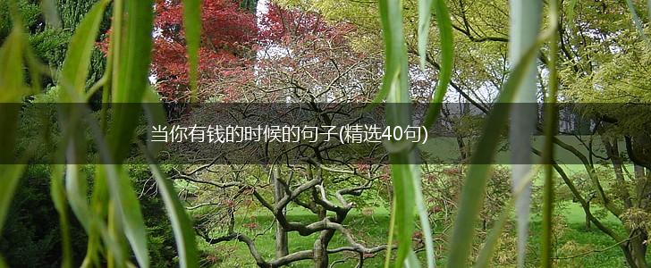 当你有钱的时候的句子(精选40句),第1张